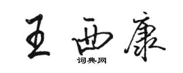 駱恆光王西康行書個性簽名怎么寫