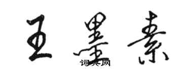 駱恆光王墨素行書個性簽名怎么寫