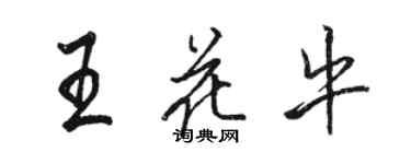 駱恆光王花牛行書個性簽名怎么寫