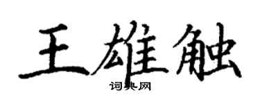 丁謙王雄觸楷書個性簽名怎么寫