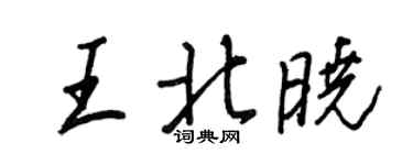 王正良王北曉行書個性簽名怎么寫