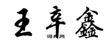 胡問遂王辛鑫行書個性簽名怎么寫