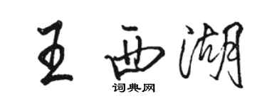 駱恆光王西湖行書個性簽名怎么寫