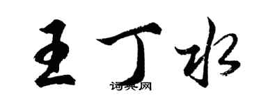 胡問遂王丁水行書個性簽名怎么寫