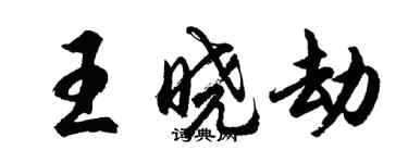 胡問遂王曉劫行書個性簽名怎么寫