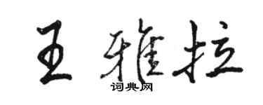 駱恆光王雅拉行書個性簽名怎么寫