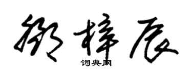 朱錫榮鄧梓辰草書個性簽名怎么寫