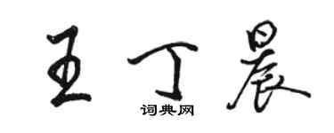 駱恆光王丁晨行書個性簽名怎么寫