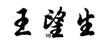 胡問遂王望生行書個性簽名怎么寫