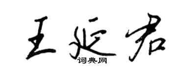 王正良王延君行書個性簽名怎么寫