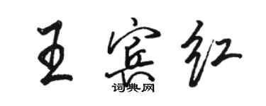 駱恆光王賓紅行書個性簽名怎么寫