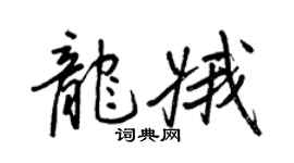 王正良龍娥行書個性簽名怎么寫