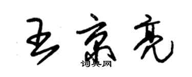 朱錫榮王京亮草書個性簽名怎么寫