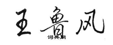 駱恆光王魯風行書個性簽名怎么寫