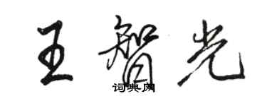 駱恆光王智光行書個性簽名怎么寫