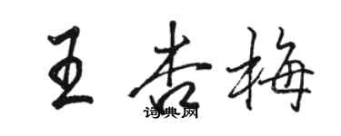駱恆光王杏梅行書個性簽名怎么寫