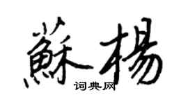 王正良蘇楊行書個性簽名怎么寫