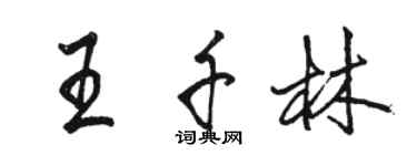 駱恆光王千林行書個性簽名怎么寫