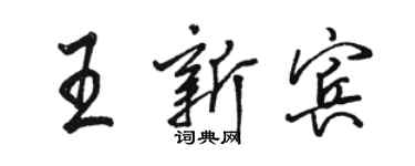 駱恆光王新賓行書個性簽名怎么寫