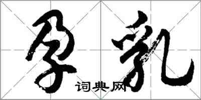 胡問遂孕乳行書怎么寫