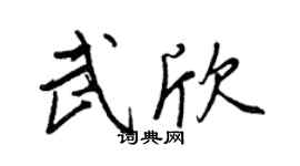 王正良武欣行書個性簽名怎么寫