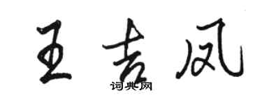 駱恆光王吉鳳行書個性簽名怎么寫