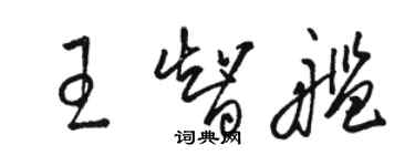 駱恆光王智艦草書個性簽名怎么寫