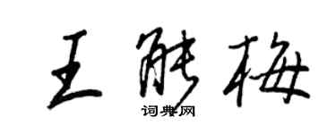 王正良王能梅行書個性簽名怎么寫