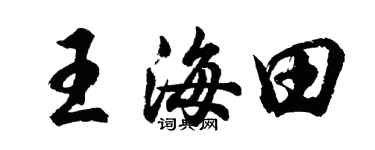 胡問遂王海田行書個性簽名怎么寫
