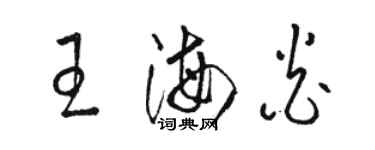 駱恆光王海炎草書個性簽名怎么寫