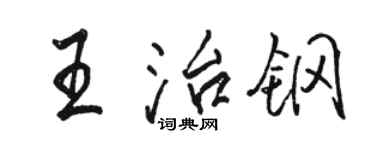 駱恆光王治鋼行書個性簽名怎么寫
