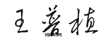 駱恆光王普植草書個性簽名怎么寫