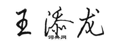 駱恆光王添龍行書個性簽名怎么寫