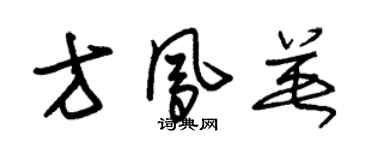 朱錫榮方鳳英草書個性簽名怎么寫