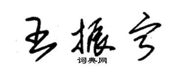 朱錫榮王振寧草書個性簽名怎么寫