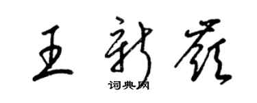 梁錦英王新嶺草書個性簽名怎么寫