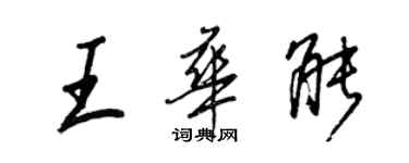 王正良王華能行書個性簽名怎么寫