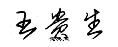 朱錫榮王貴生草書個性簽名怎么寫