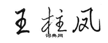駱恆光王柱鳳行書個性簽名怎么寫