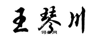 胡問遂王琴川行書個性簽名怎么寫