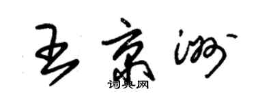 朱錫榮王京洲草書個性簽名怎么寫