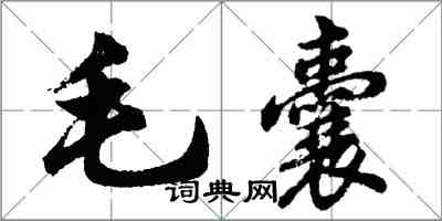 胡問遂毛囊行書怎么寫