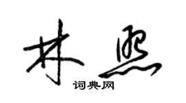 梁錦英林照草書個性簽名怎么寫