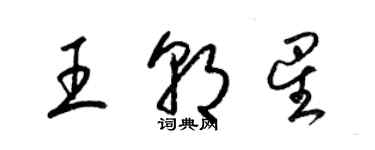 梁錦英王朝星草書個性簽名怎么寫