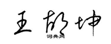 梁錦英王胡坤草書個性簽名怎么寫