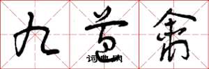 曾慶福九苞禽草書怎么寫