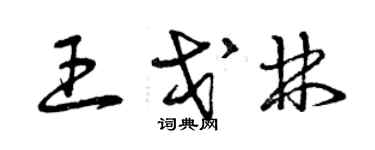 曾慶福王戈林草書個性簽名怎么寫