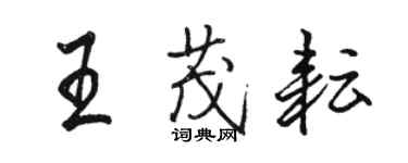 駱恆光王茂耘行書個性簽名怎么寫