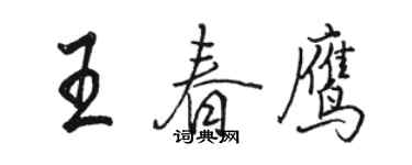 駱恆光王春鷹行書個性簽名怎么寫