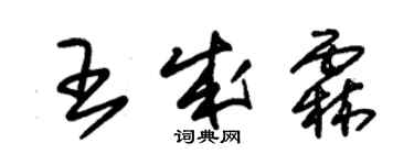 朱錫榮王成霖草書個性簽名怎么寫